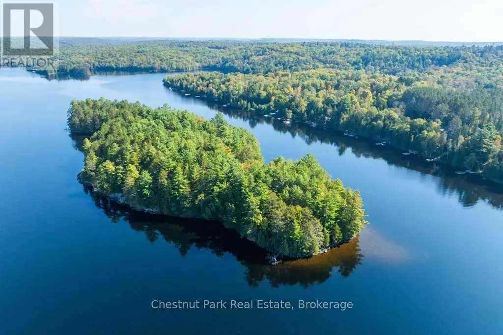 10000 Soyers - Brown Island, Minden Hills (Minden)